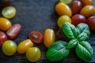 Photo Background Wallpaper Fresh Food Tomato Basil Max Pixel