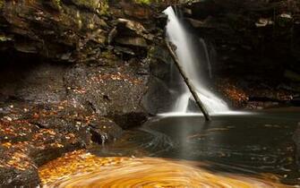 Green Rocks Water Falls In Yellow Colour HD Wallpaper