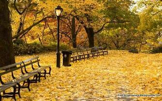 New England Fall Wallpaper