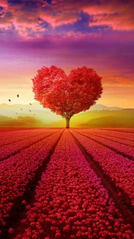 Beautiful Heart Tree Landscape Scenery 4k Phone HD
