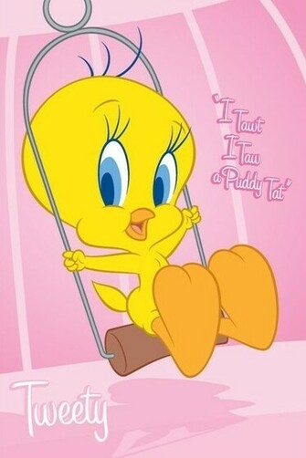 Tweety Bird Image Wallpaper Photos