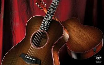 Taylor Guitars Wallpaper