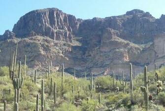 Arizona Scenery My Photos Of Desert Cactus And