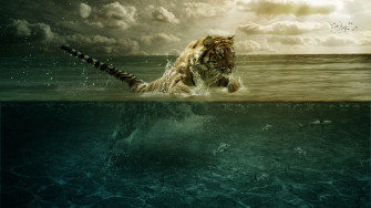 4k Ultra HD Tiger Wallpaper Desktop