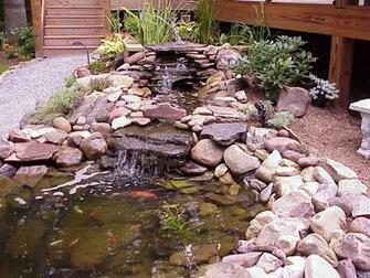 Pond Wallpaper Jpg Bytes