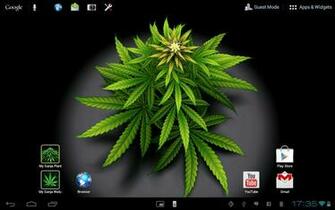 Live Weed Wallpaper Desktop Image Pictures Becuo