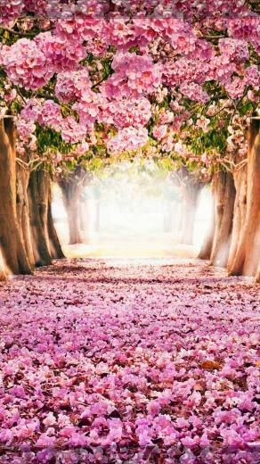 Wallpaper iPhone Spring 3d