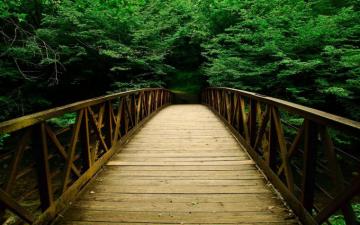 Beautiful Wooden Bridge Wallpaper For Android The Cause Agency