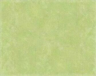 Pale Green Background Image Amp Pictures Becuo