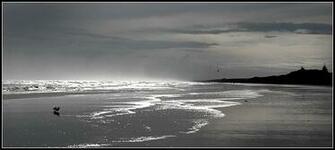 Winter Beach Scenes