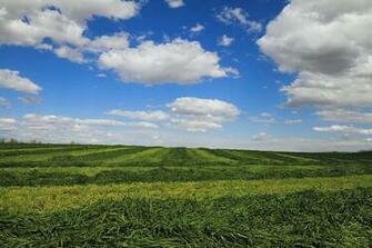 Wendell Farm Landscape Wall Art Contemporary Wallpaper By Murals