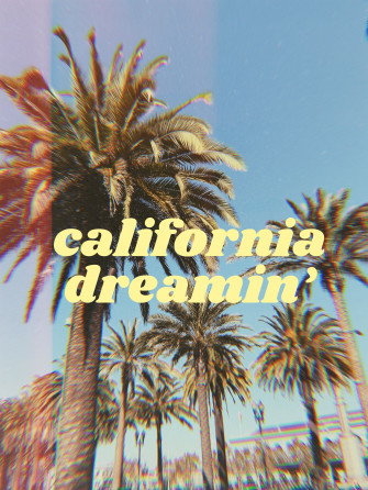 California Dreamin Palm Trees Wallpaper
