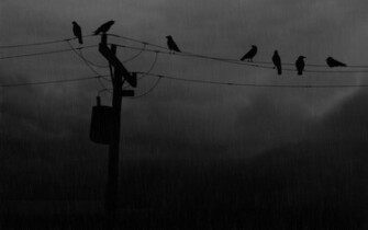 Black And White Sad Gloom Wallpaper