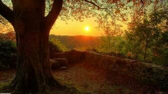 Autumn Warm Light Wallpaper Open Walls