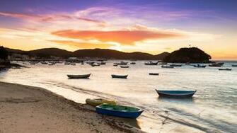 Insolito Brazil Natural World Safaris