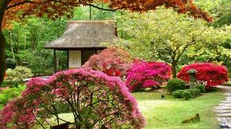 Wallpaper Japanese Garden X Widescreen