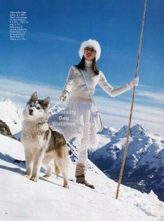 Snow Dogs Image Search Results
