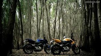 Eres Fan Ticos De Las Motos Pulsar Esto Te Encantar