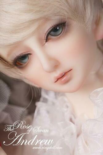 Barbie Dolls