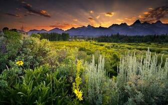 Grand Teton National Park 4k Ultra HD Wallpaper Net