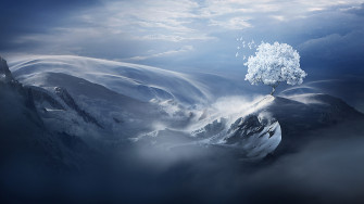 Winter Snow Tree Mountain Scenery Landscape 4k Wallpaper