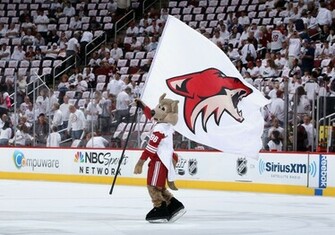 Phoenix Coyotes Hockey Nhl Wallpaper Background