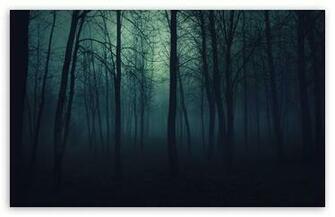 Dark Forest HD Wallpaper For Wide Widescreen Whxga Wqxga