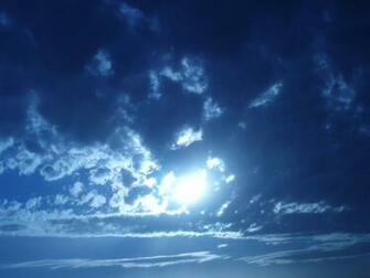 Sky And Flowers Blue Wallpaper Jpg