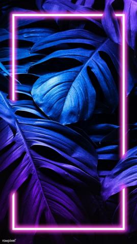 Monstera Leaf Mobile Screen Wallpaper Premium Image By Rawpixel
