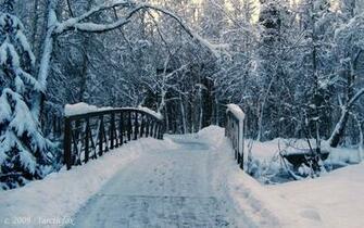 Zing Cold Traveling By 1arcticfox