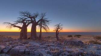 Botswana Wallpaper High Quality