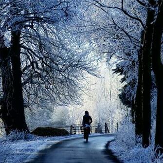 Winter iPhone Wallpaper Road Scene iPad Air