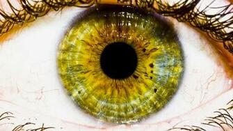 Human Wallpaper Eye Theeye Image