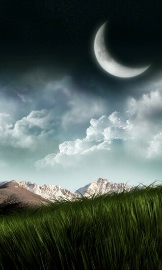 Lovely Nature Samsung Mobile Wallpaper Cell Phone