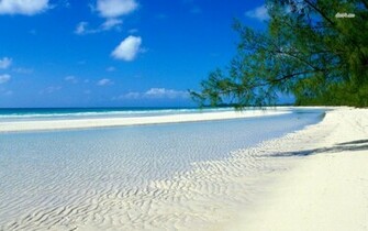 White Sand On The Beach Wallpaper