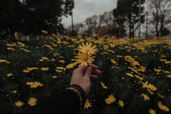 Enjoy The Beauty Of Nature With Modern Technology