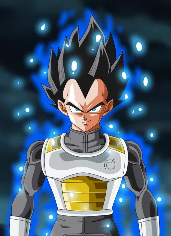 Animation Commission Vegeta Ultra Instinct By Ghenny On