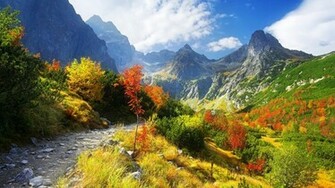 Autumn Scenery Wallpaper Nature