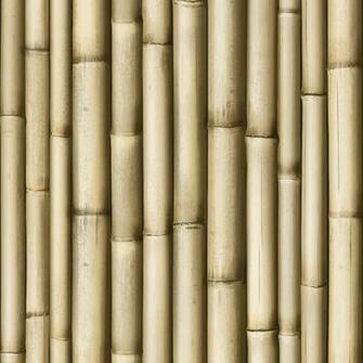 Home Wallpaper Muriva Bluff Bamboo J22317