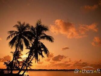 Back To Beach Screensaver