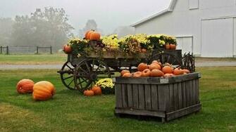 Fall Harvest