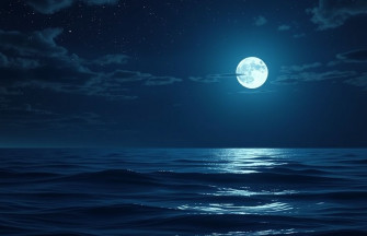 Night Ocean Wallpaper