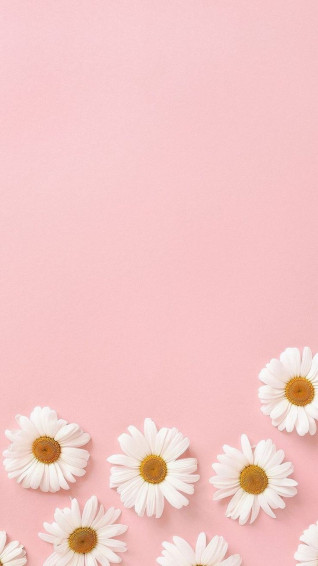 Lovezoe91 On Sunflowers Pastel iPhone Wallpaper Pink