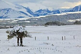 Wallpaper Background Snowy Landscape Rocky Mountains Canada