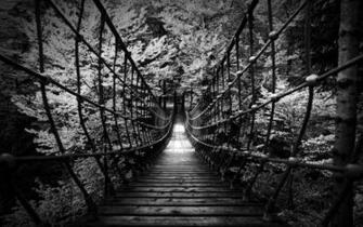 Black White B W Landscapes Nature Wood Rope Scary Bridges Trees Forest