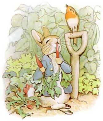 Peter Rabbit Is A Cute But Very Naughty Little Bunny Who The Main