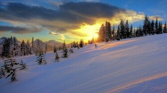 Winter Sunset Wallpaper