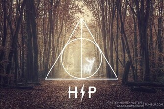 The Bear Jedi Harry Potter Deathly Hipster Desktop Wallpaper