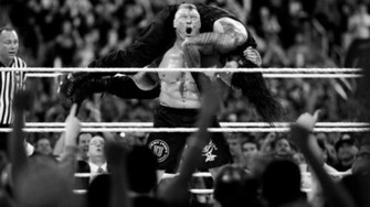 Brock Lesnar Vs Roman Reigns Fight HD Wallpaper Search More