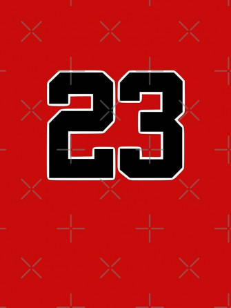 Michael Jordan Chicago Bulls Nba Basketball Graphic T Shirt